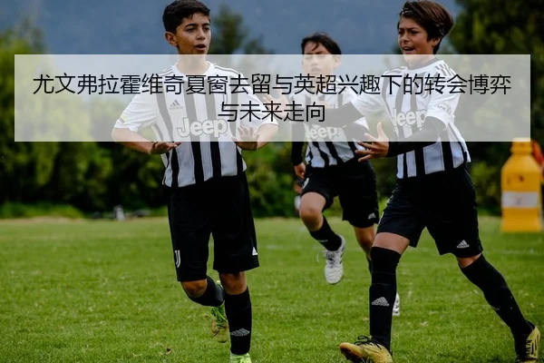 尤文弗拉霍维奇夏窗去留与英超兴趣下的转会博弈与未来走向